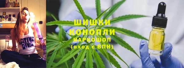 эйфоретик Новозыбков