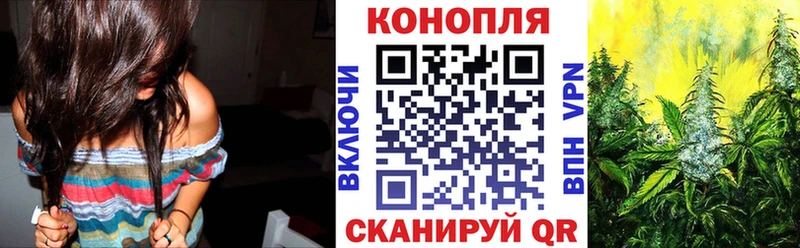 МАРИХУАНА ГИДРОПОН  где найти наркотики  Темников 